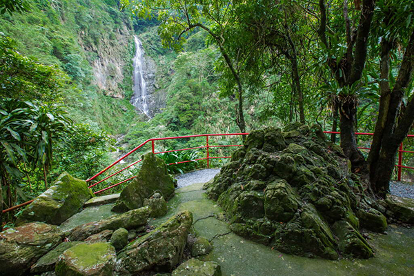 觀音瀑布風景區夏季沁涼無比。(圖／阿里山國家風景區管理處)