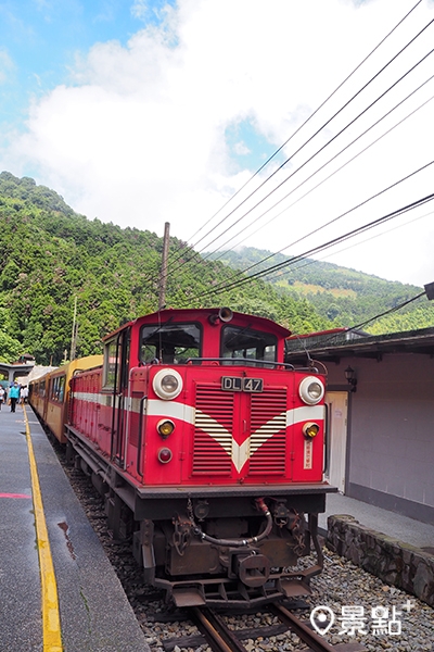 阿里山林鐵列車停佇在奮起湖車站的身影。