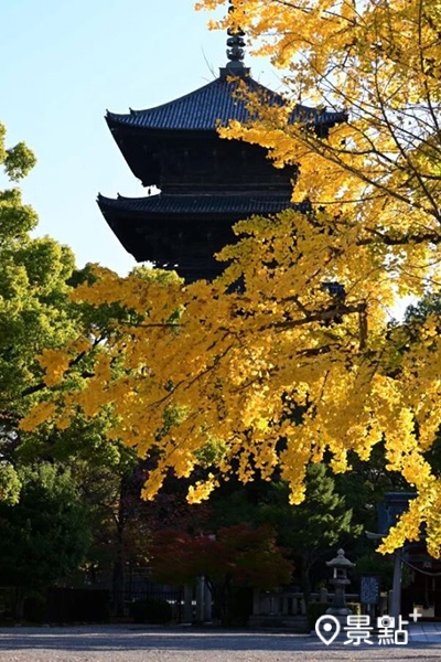 東寺的正式名稱為教王護國寺