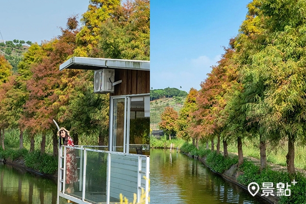 魚池旁搭建的純白水上小屋與落羽松形成優美的景緻。（圖／double.leo.tw）