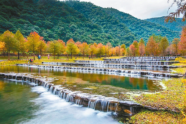 三層坪落羽松農塘秘境正式開園。(圖／三層坪水土保持階梯式農塘教育園區)