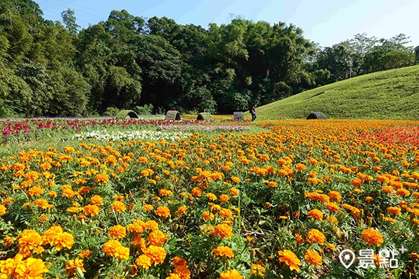 大溝溪生態治水園區內湖賞花秘境。（圖 /台北水利處，以下同）